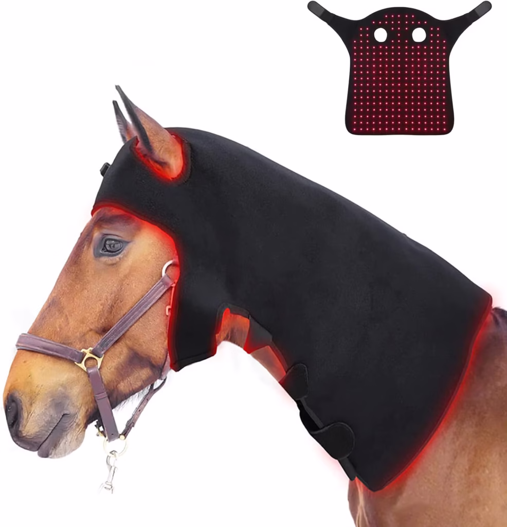 Red Light Therapy Equine Rugs 660nm 850nm Equine Infra Red Light Therapy Poll Cap and Neck for Horse Full Body
